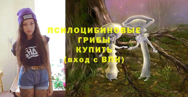 ешки Алзамай