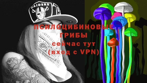 крисы Алексин