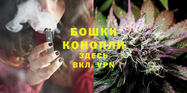 ешки Алзамай