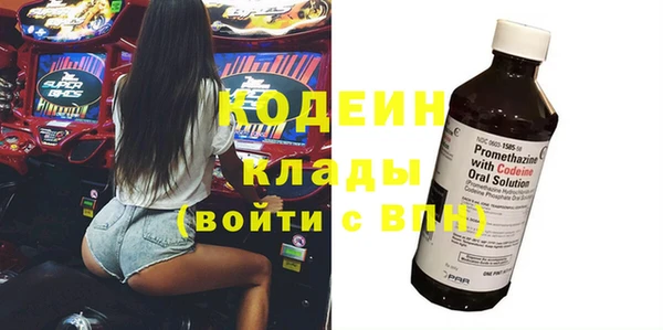 крисы Алексин