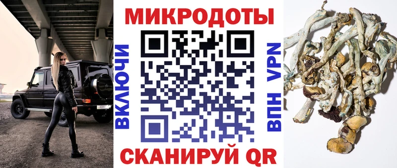 Галлюциногенные грибы Cubensis  сайты даркнета состав  Слюдянка  мега зеркало 